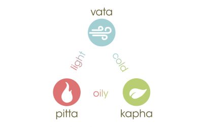 Ayurveda – ‘The Science of Life’.  Sanskrit – ‘Ayu’ – life. ‘Veda’ – knowledge