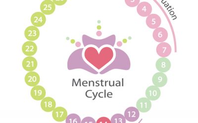 Woman’s Health Series 2 of 3 The doshas through your lifecycle