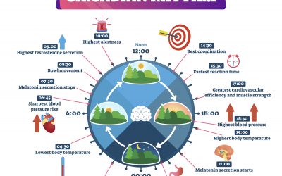Cycle Awareness Series: Introduction