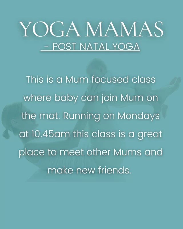 Led by the wonderful @lalauragrace our Yoga Mama's #postnatal class is all about #MumsSupportingMums 💛
This mum-focused class (where baby can join you on the mat) will be a supportive space and a great chance to share experiences and meet others going through the same phase of life, so please share with any new mums you know! 🙏
Yoga Mama's Post-Natal Yoga: Mondays 10.45am
Book via the Bsport app ➡️
#PostNatalYoga #HighamsPark